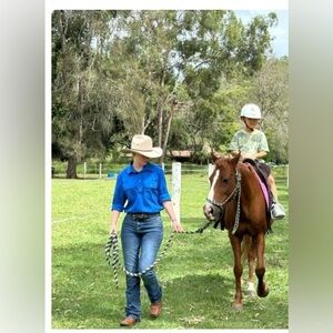 Women Ralph Lauren 100% linen‎ Anchor Buttons Blue Top Long Sleeved